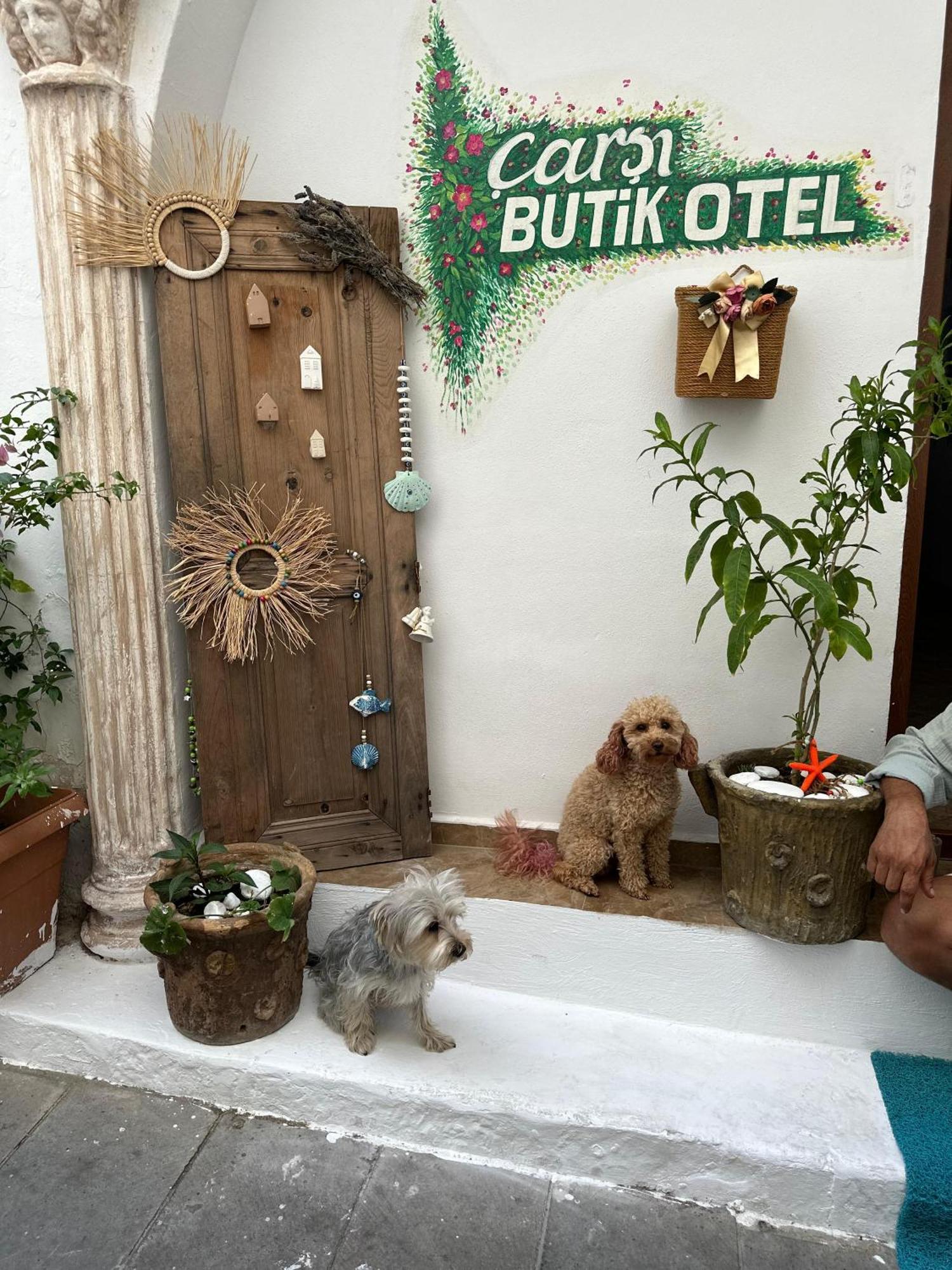 Carsi Butik Otel Bodrum Kültér fotó